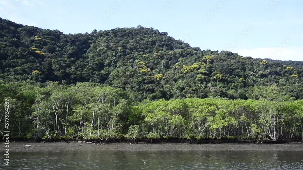 Rio, manguezal e mata atlântica Rio, manguezal e mata atlântica