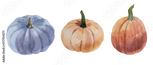 Watercolor vector orange and blue pumpkins set on white background.