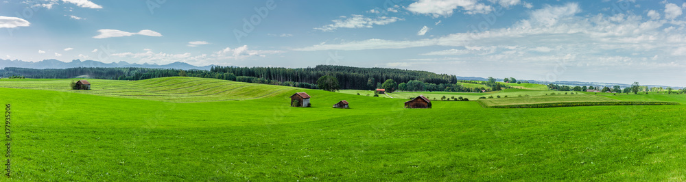 Grüne hügelige Landschaft mit alpenpanorama im Allgäu