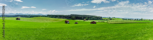 Grüne hügelige Landschaft mit alpenpanorama im Allgäu