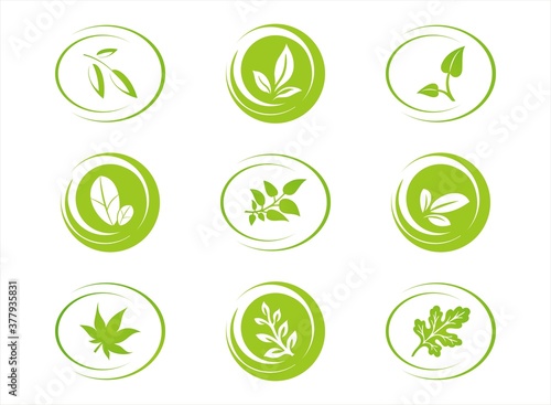 leaves  plant  icons   nature  Eco friendly business logo 