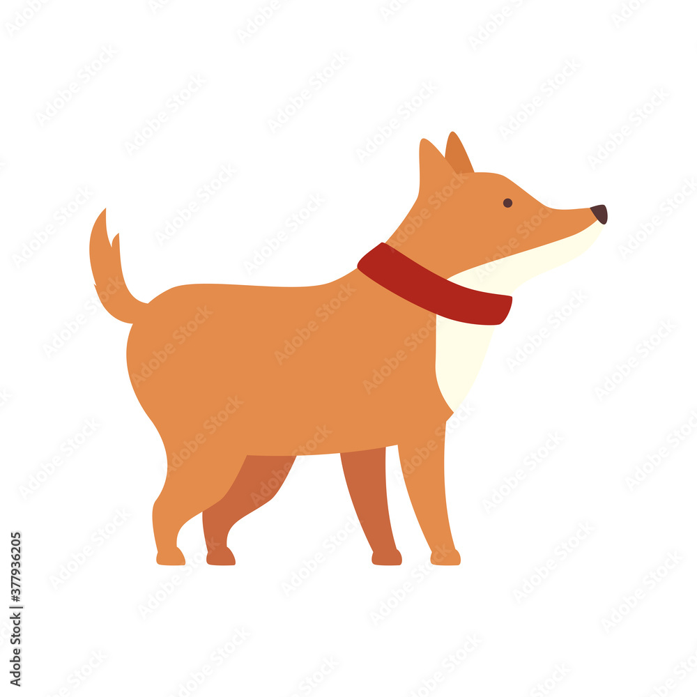 cute dog pet on white background vector illustration design cute dog pet on white background vector illustration design