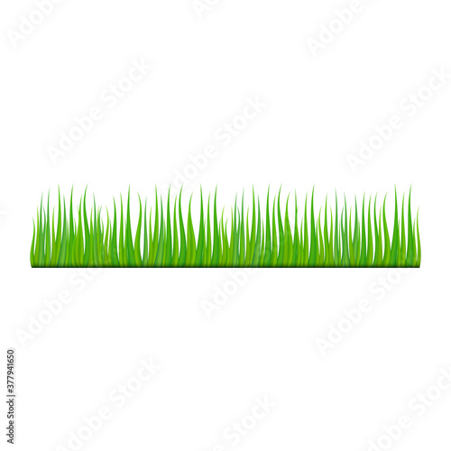 Grass leaves vector illustration isolated on white background. Horizontal seamless grass symbol.