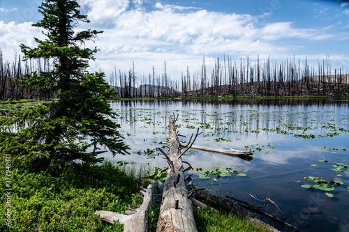 Scudder Lake  photo