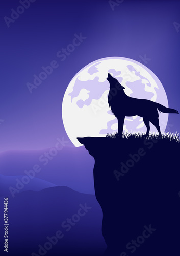 lonely wolf standing on high cliff and howling against full moon  disk - wild nature night scene vector landscape