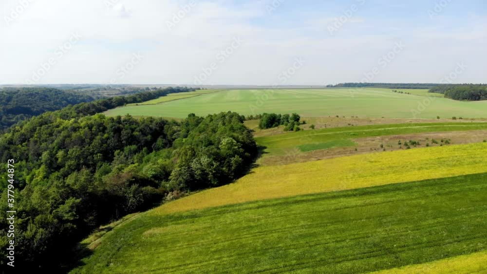 Green, orange and light brown field, forest and blue sky. Summer. Green, orange and light brown field, forest and blue sky. Summer.