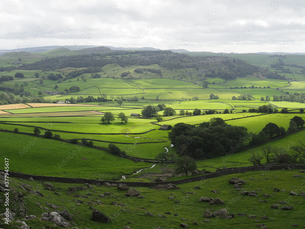 Rural landscape in the Yorkshire Dales