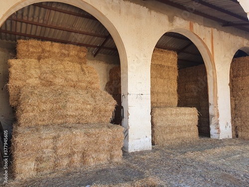 Alpacas de paja en granero