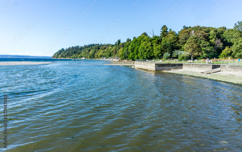 Washington Shoreline Landscape 11