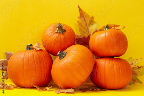Pumpkins and autumn leaves on yellow background