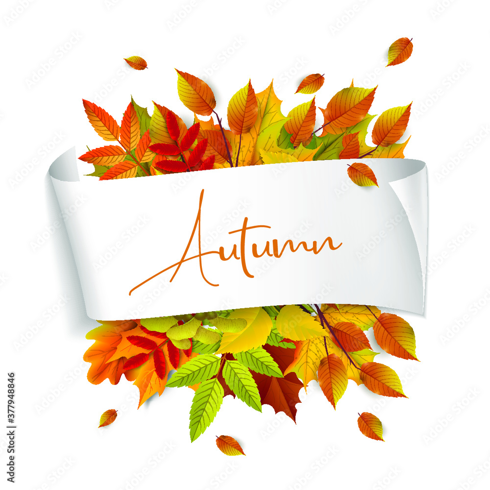 Fototapeta Greetings and gifts for the autumn and autumn season concept. Autumn background, poster and banner template with colorful autumn leaves.