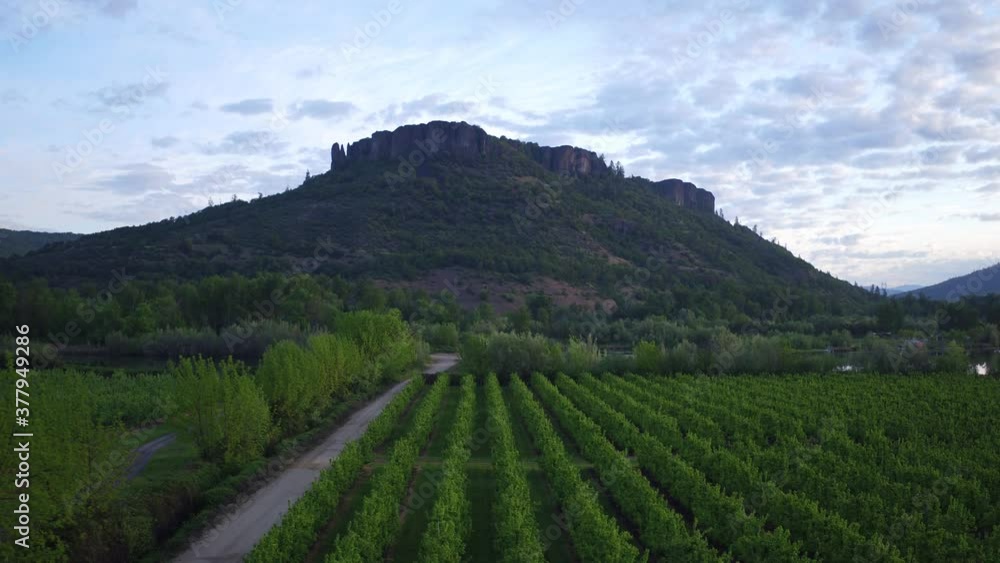 Table Rock Oregon Aerial Drone - Vertical climb at sunrise while over orchards, facing North Table Rock Oregon Aerial Drone - Vertical climb at sunrise while over orchards, facing North