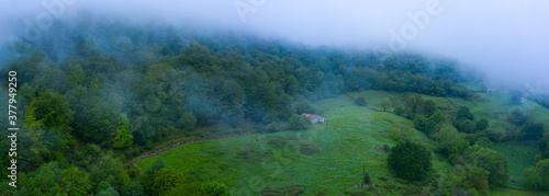 Beech forest in the surroundings of the Sierra de Hornijo near Ramales de la Victoria in the Autonomous Community of Cantabria. Spain, Europe