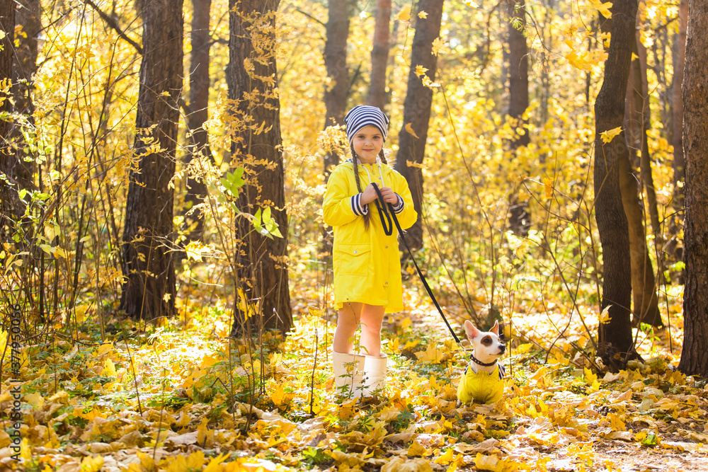 Little girl playing with her dog in autumn forest. Child and jack russell terrier dog. Little girl playing with her dog in autumn forest. Child and jack russell terrier dog.
