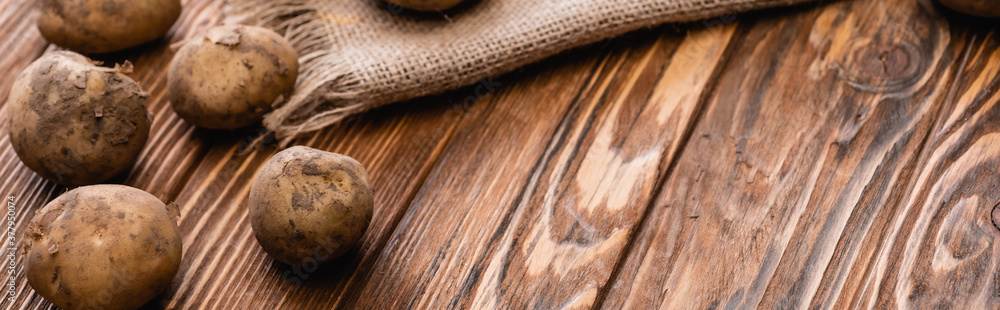 dirty potatoes and burlap on wooden table, panoramic shot dirty potatoes and burlap on wooden table, panoramic shot