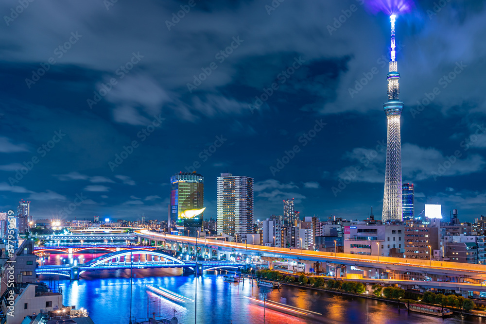 Fototapeta premium 隅田川の夜景