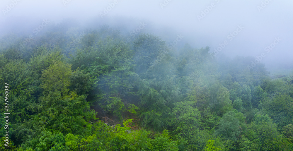 Fog in the spring landscape in the surroundings of the Sierra de Hornijo near Ramales de la Victoria in the Autonomous Community of Cantabria. Spain, Europe