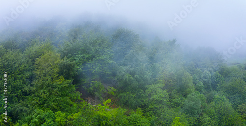 Fog in the spring landscape in the surroundings of the Sierra de Hornijo near Ramales de la Victoria in the Autonomous Community of Cantabria. Spain  Europe