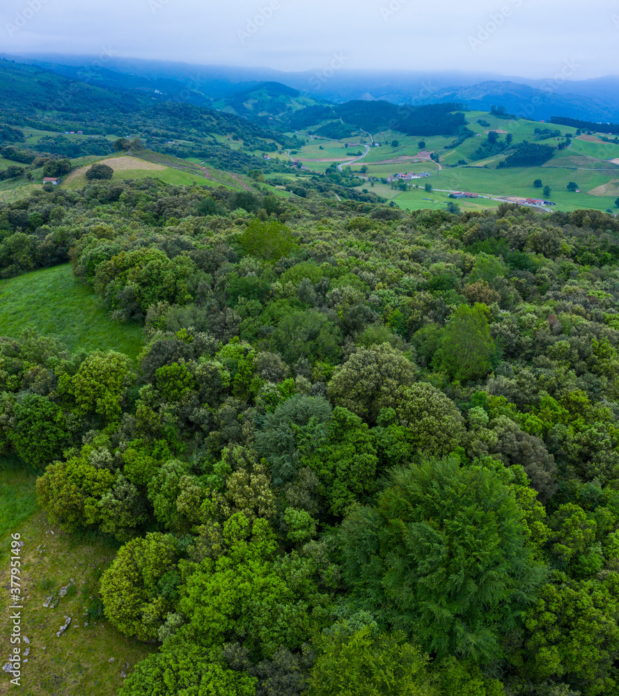 View from a drone of the spring landscape in Padierniga in the Autonomous Community of Cantabria. Spain, Europe View from a drone of the spring landscape in Padierniga in the Autonomous Community of Cantabria. Spain, Europe