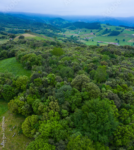 View from a drone of the spring landscape in Padierniga in the Autonomous Community of Cantabria. Spain, Europe © JUAN CARLOS MUNOZ