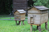 Wooden hives for bees. Paseka in nature in the woods.
