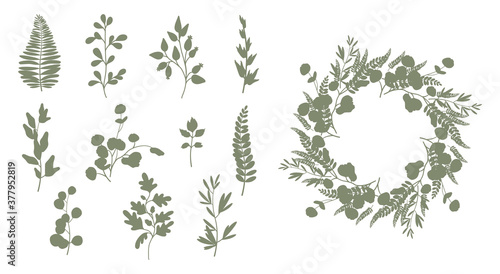 Set of leaves, tree branches and herbs. Wreath. Elegant silhouettes of plants. Vector illustration isolated on white background.