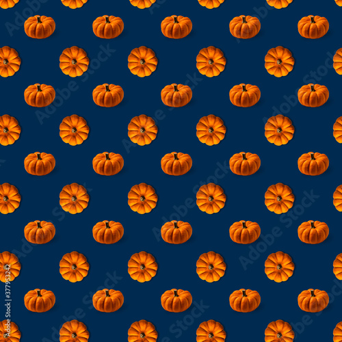 Bright orange pumpkins on navy blue background