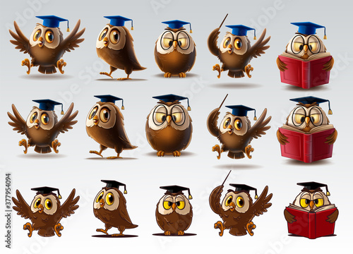 set of owls for school and diploma