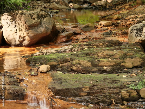 Hambach - Nähe Oberhambach photo