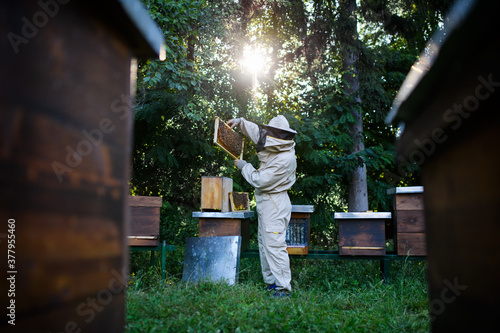 Konstfotografi Portrait of man beekeeper working in apiary, using bee smoker.