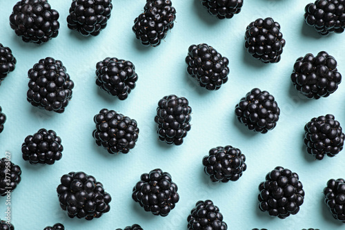 Tasty ripe blackberries on light blue background, flat lay