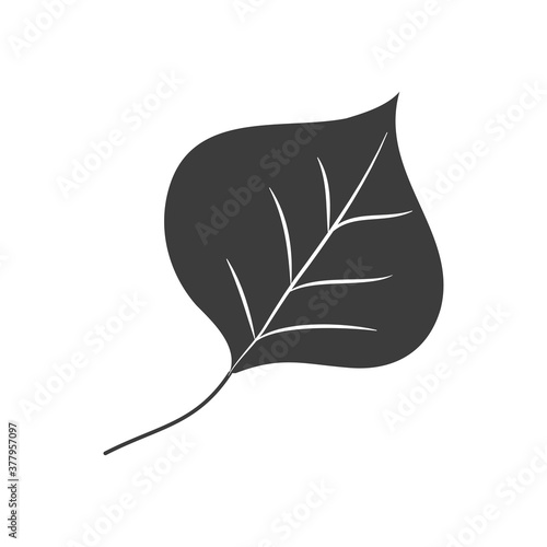 autumn leaves concept, aspen leaf icon, silhouette style