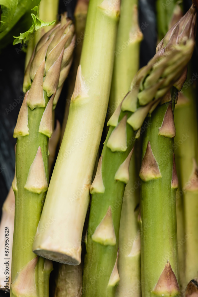 close up view of fresh green asparagus close up view of fresh green asparagus
