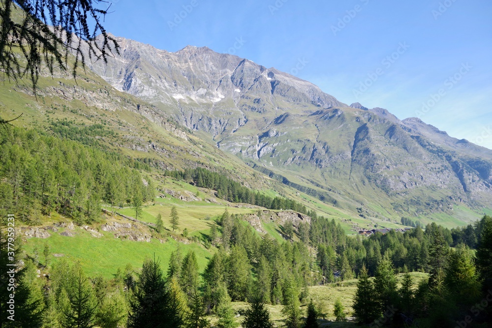 Fototapeta premium Passeiertal