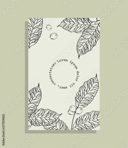coffee leaves with beans on paper frame vector design