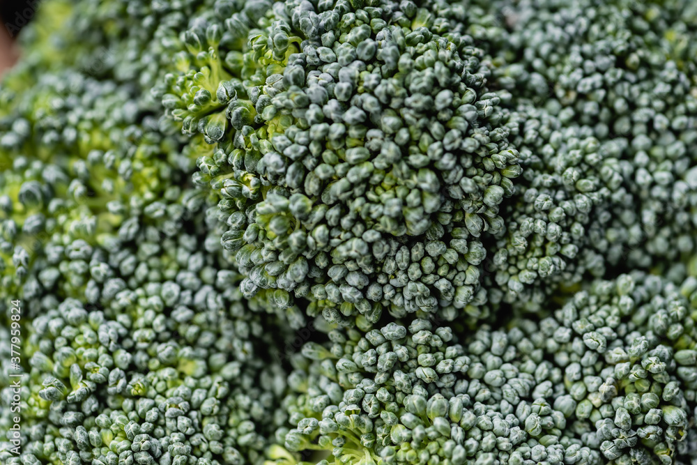 close up view of fresh green broccoli close up view of fresh green broccoli