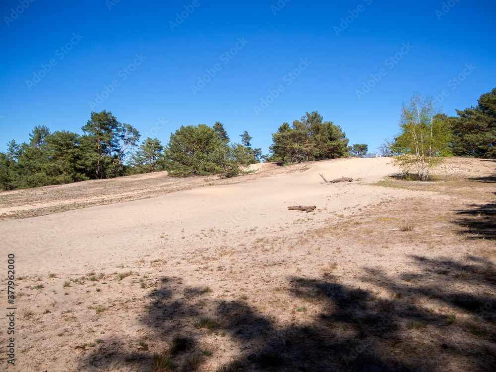 Inland dune by Waltersberge left side