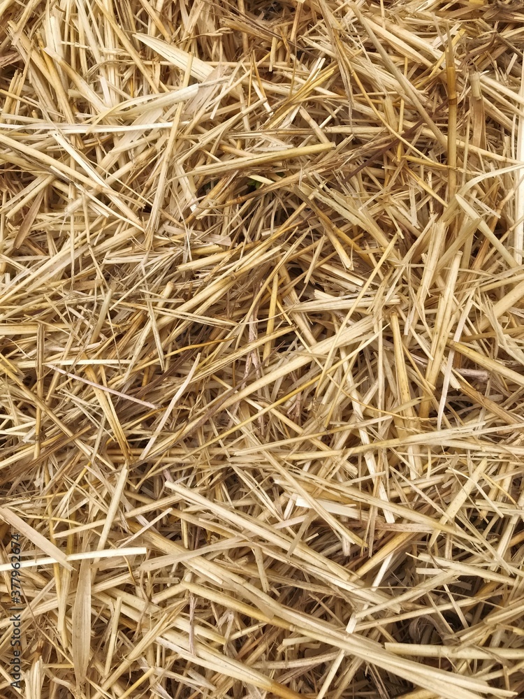 straw bale background