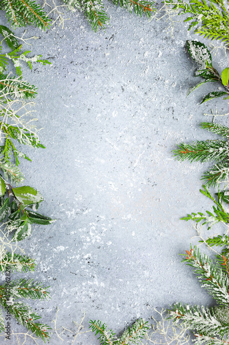 Christmas or winter background with a border of green and frosted evergreen b...