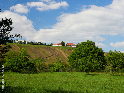 Vogelsburg und Weinberge an der Volkacher Mainschleife, Unterfanken, Bayern, Deutschland photo