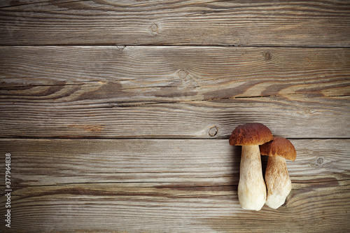Mushrooms boletus on wooden background. Autumn mushrooms. Gourment food