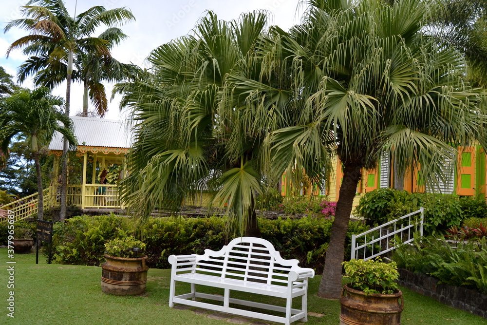 Tropical Garden in the Caribbean Island of St Kitts