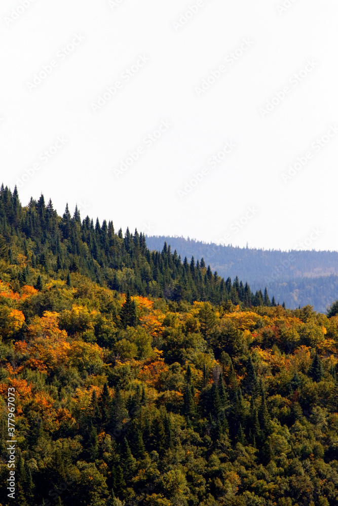 Paysage de montagnes en automne
