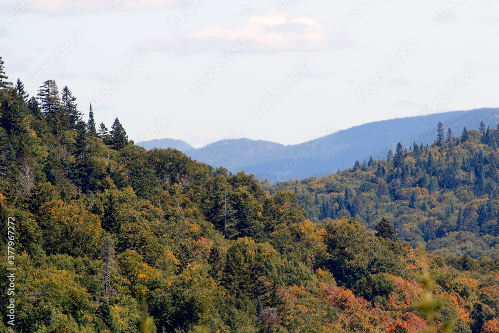 paysage de montagnes en automne