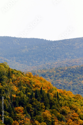 paysage de montagnes en automne