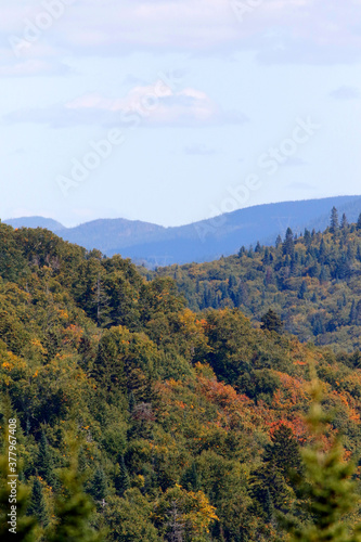 paysage de montagnes en automne