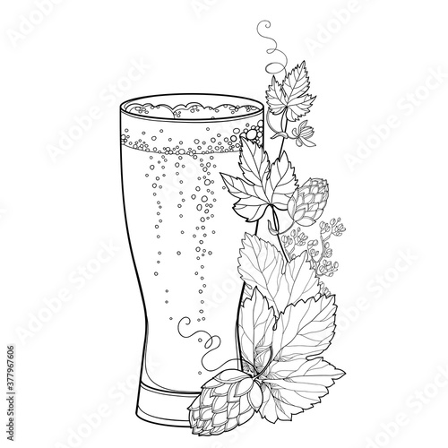 Beer glass with outline Hop or Humulus leaf and ornate cone in black isolated on white background. 