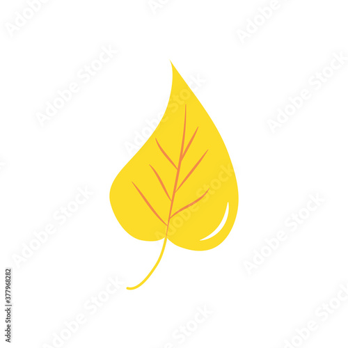 hackberry leaf icon, flat style