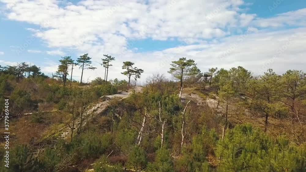 Drone shot from Dutch Forest and Dunes in the Netherlands with lots of trees and sandy walking paths. Drone shot from Dutch Forest and Dunes in the Netherlands with lots of trees and sandy walking paths.