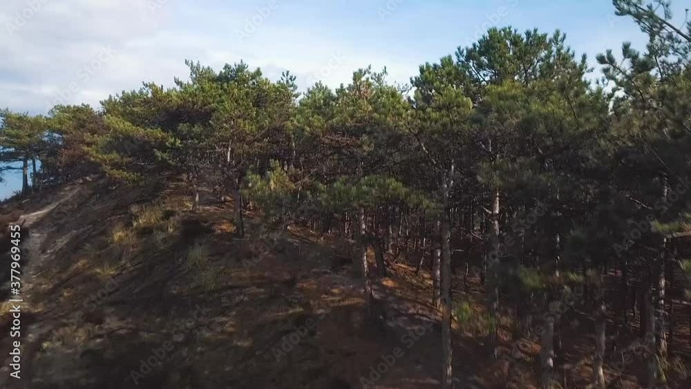 Drone shot from Dutch Forest and Dunes in the Netherlands with lots of trees and sandy walking paths. Drone shot from Dutch Forest and Dunes in the Netherlands with lots of trees and sandy walking paths.